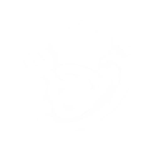 NUXA.AI Logo